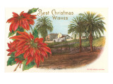 Best Christmas  Old Mission  San Diego  California