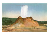 Castle Geyser  Yellowstone National Park
