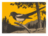 Woodcut of Magpie