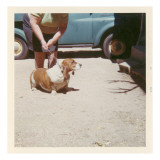 Fat Lady with Fat Basset Hound