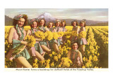 Daffodil Maidens  Puyallup Valley  Washington