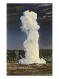 Old Faithful Geyser by Moonlight  Yellowstone National Park