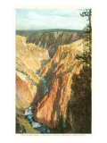 Yellowstone Canyon  Yellowstone National Park