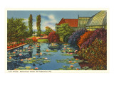 Lily Pond  Schenley Park  Pittsburgh  Pennsylvania