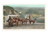 Coaching Party  Yellowstone National Park