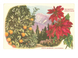 Season's Greetings  Santa Barbara  California