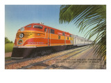 Train in Florida