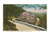 Scenic Mountain Road  Roanoke  Virginia