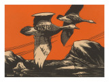 Woodcut of Geese