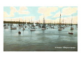 Boats at Anchor  Newport Harbor  Rhode Island