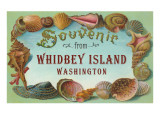 Souvenir from Whidbey Island  Washington