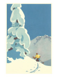 Skier  Graphics