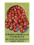 Apple Basket from Virginia