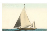 Sailboat  San Diego  California