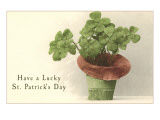 St Patricks Day  Hatful of Shamrocks