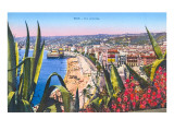 General View of Nice  France