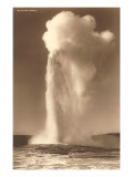 Old Faithful Geyser  Yellowstone National Park