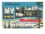 Greetings from Mt Rainier  Washington