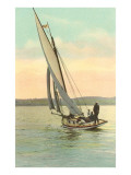 Sloop