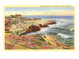 Cliffs at La Jolla  San Diego  California