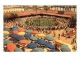 Winners Circle  Del Mar Race Track  California