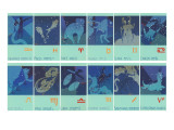 Twelve Zodiac Signs