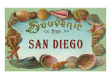 Souvenir from San Diego  California