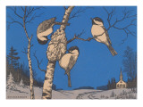 Chickadees Building Nest