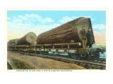Douglas Fir Logs on Flatbeds  Washington