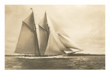 Gaff-Rigged Schooner with Multiple Jibs