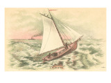Sloop  Illustration