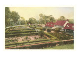 Flower Garden  Mt Vernon  Virginia
