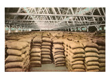 Largest Wheat Warehouse  Tacoma  Washington