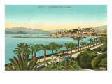 View of the Croisette  Cannes  France
