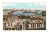 Cotton Bales on Docks  Norfolk  Virginia