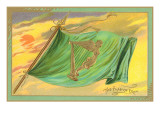 St Patricks Day  the Flag of Erin