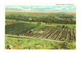 Yakima Valley  Washington