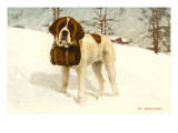 St Bernard with Rescue Keg