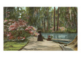 Magnolia Gardens  Charleston  South Carolina