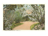 Bayonet Cottage Garden  Aiken  South Carolina