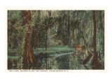 Magnolia on the Ashley  Charleston  South Carolina