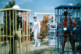 Lost in Space