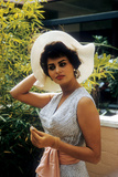 Sophia Loren