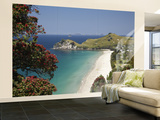 Pohutukawa Tree in Bloom and Hahei  Coromandel Peninsula  North Island  New Zealand