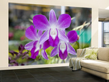 Flowering Orchid