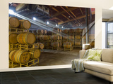 Shafts of Light in Barrel Room of Montevina Winery  Shenandoah Valley  California  USA