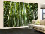 Bamboo Forest  Arashiyama-Sagano District