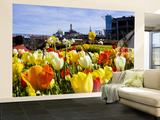 Tulips on Pier 39 with Coit Tower in the Background