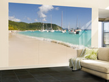 Popular Moorings For Bareboaters and Charter Sail  White Bay  Jost Van Dyke  Bvi