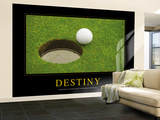 Destiny